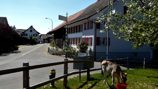 Friltschen TG
