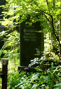 Fridman E I grave