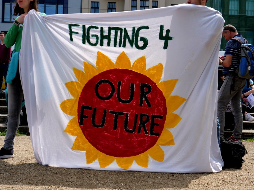 FridaysForFuture protest Berlin 31-05-2019 36