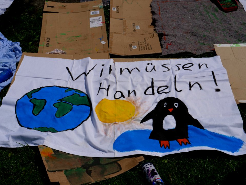 FridaysForFuture protest Berlin 31-05-2019 41