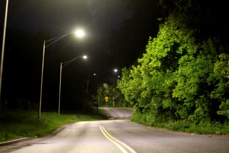 Frisbie Avenue at night in Albany, New York photo