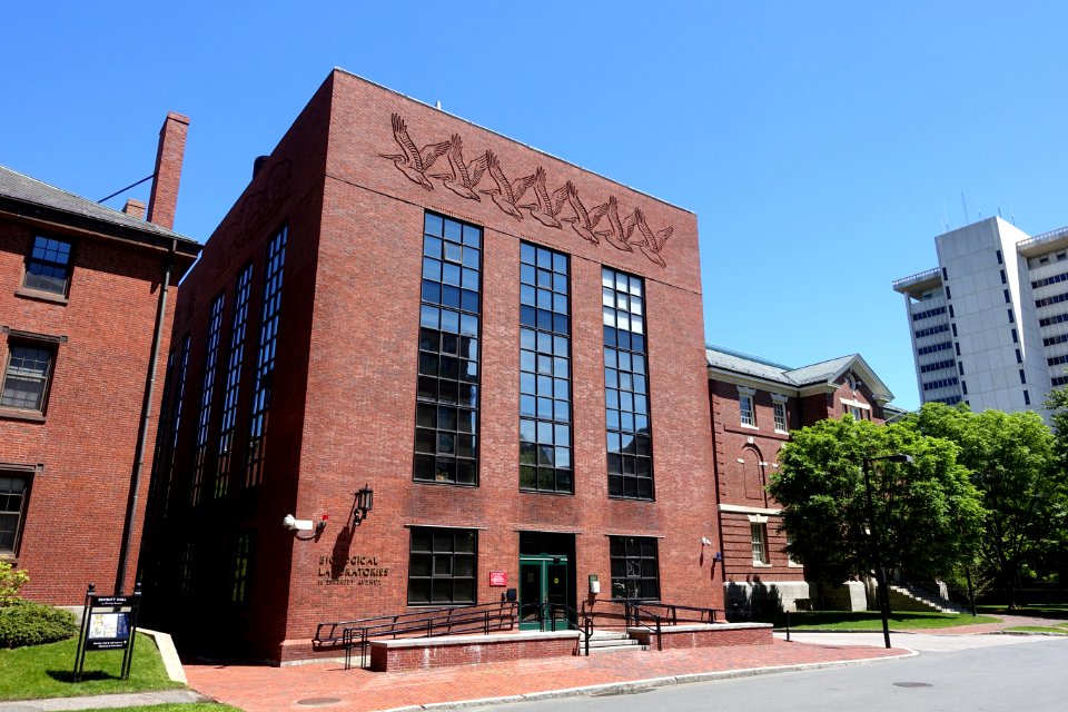 Friezes by Katherine Lane Weems,1933, carved brick - Bio Labs - Harvard University - DSC05777