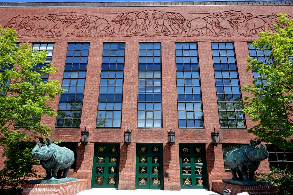 Friezes by Katherine Lane Weems,1933, carved brick - Bio Labs - Harvard University - DSC05771