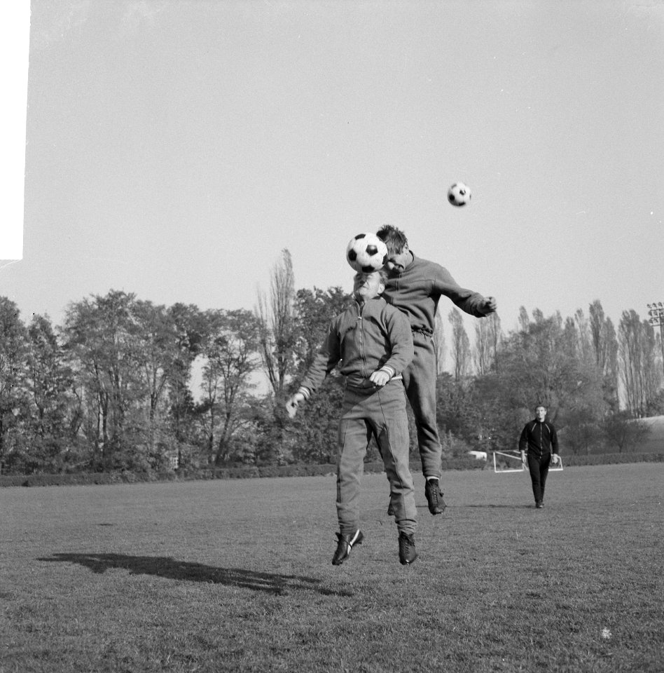 Frits Flinkevleugel in kopduel met Jos Vonhof, Bestanddeelnr 918-3475