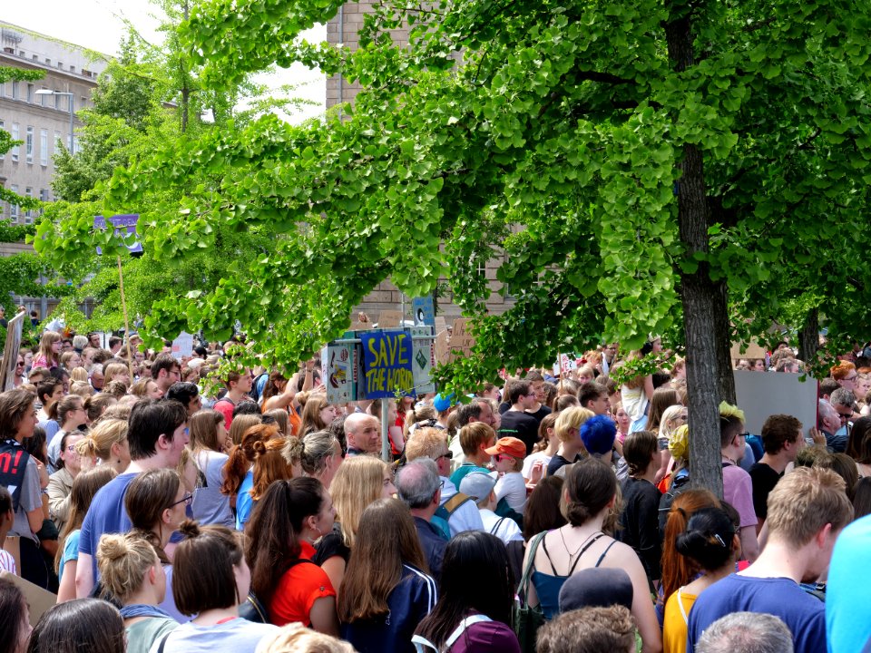 FridaysForFuture protest Berlin 31-05-2019 18