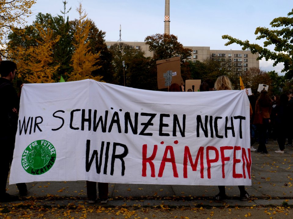 FridaysForFuture protest Berlin 25-10-2019 50