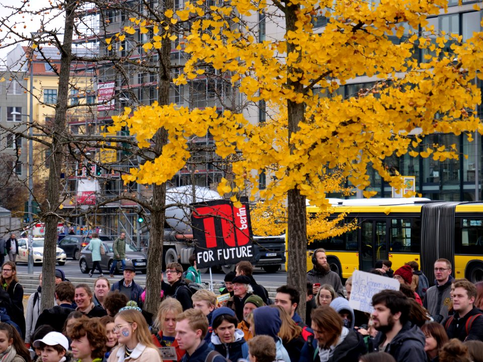 FridaysForFuture protest Berlin 22-11-2019 30