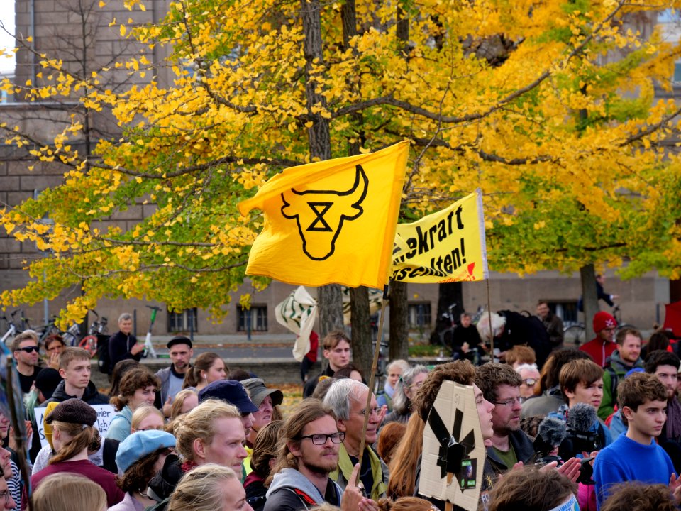 FridaysForFuture protest Berlin 25-10-2019 54