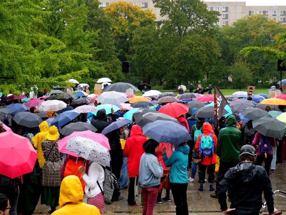 FridaysForFuture protest Berlin 27-09-2019 29