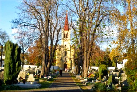 Friedhof-Saaz