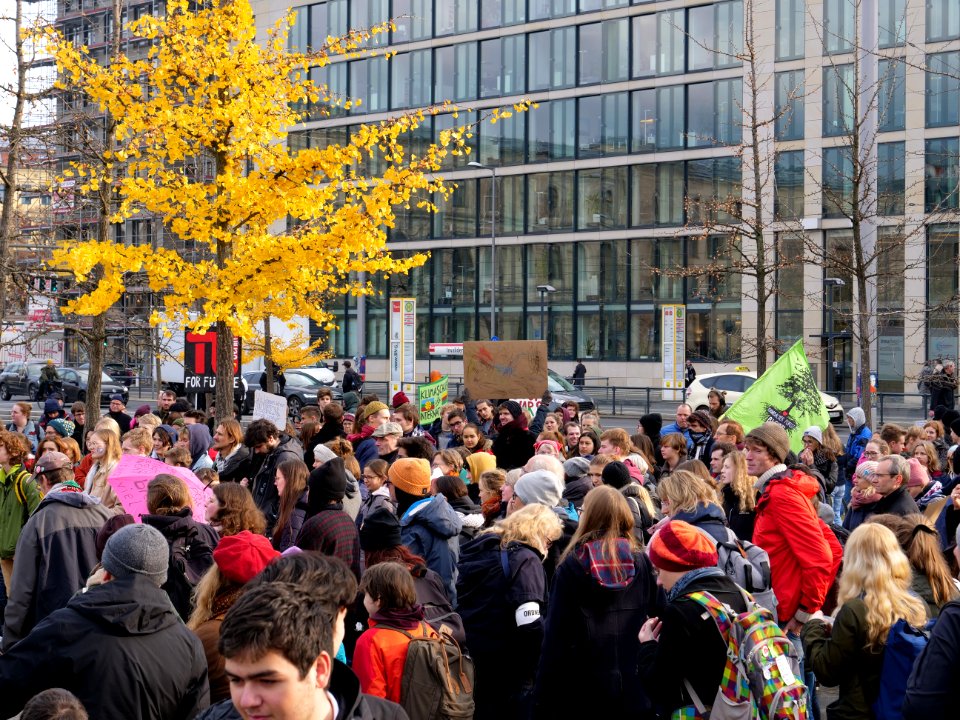 FridaysForFuture protest Berlin 22-11-2019 25