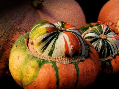 Decoration vegetables harvest photo