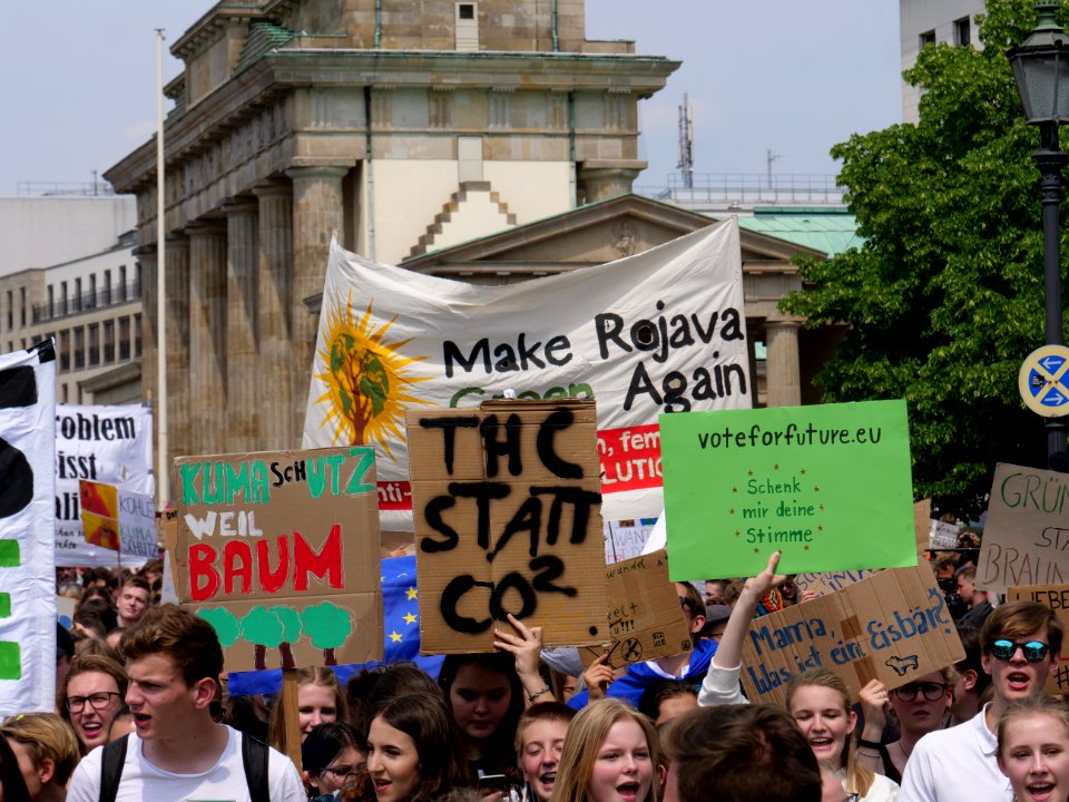 FridaysForFuture protest Berlin 24-05-2019 01