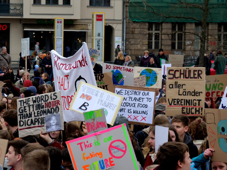 FridaysForFuture protest Berlin 22-03-2019 30