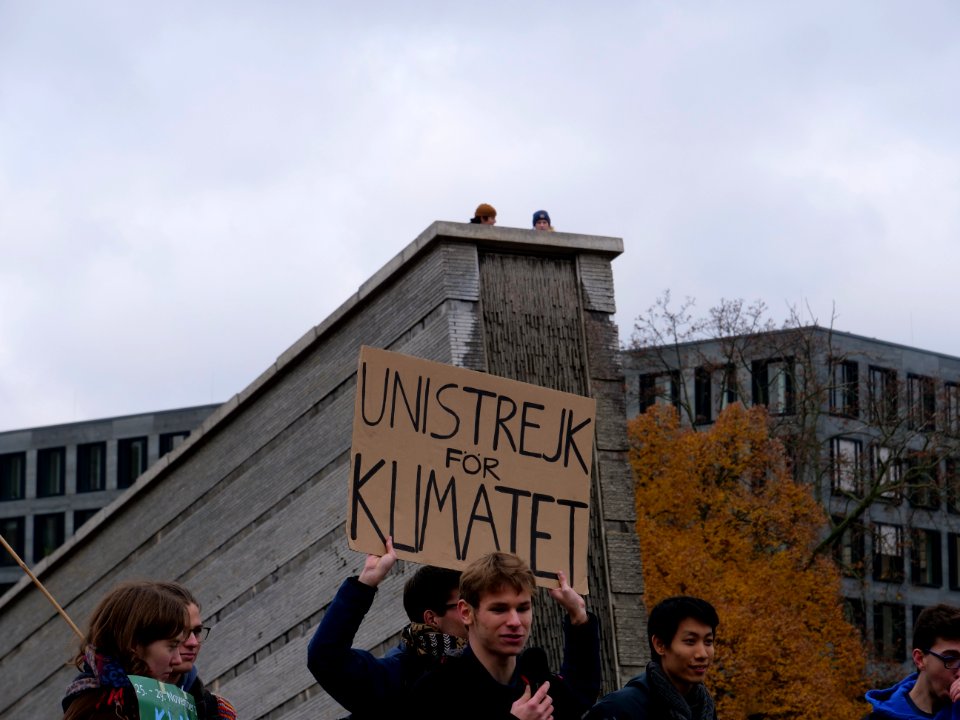 FridaysForFuture protest Berlin 22-11-2019 43