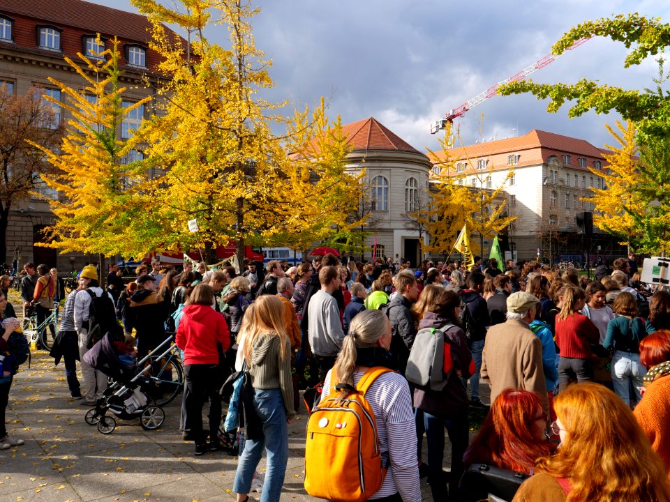 FridaysForFuture protest Berlin 25-10-2019 58