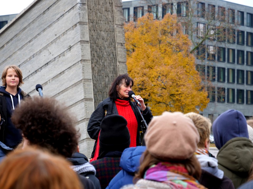 FridaysForFuture protest Berlin 22-11-2019 49