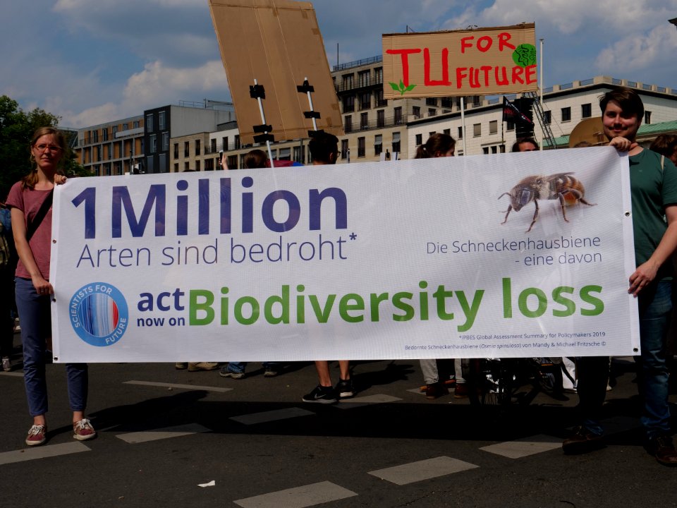 FridaysForFuture protest Berlin 24-05-2019 36
