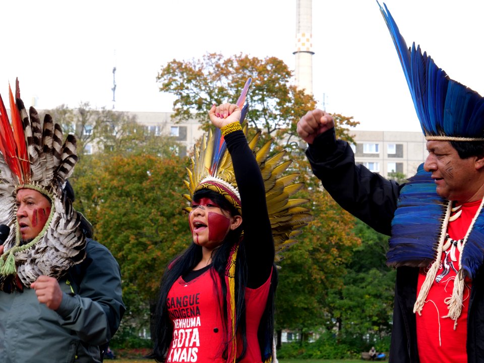 FridaysForFuture protest Berlin 25-10-2019 15