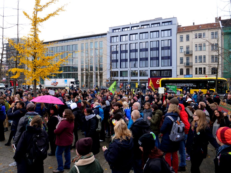 FridaysForFuture protest Berlin 22-11-2019 13