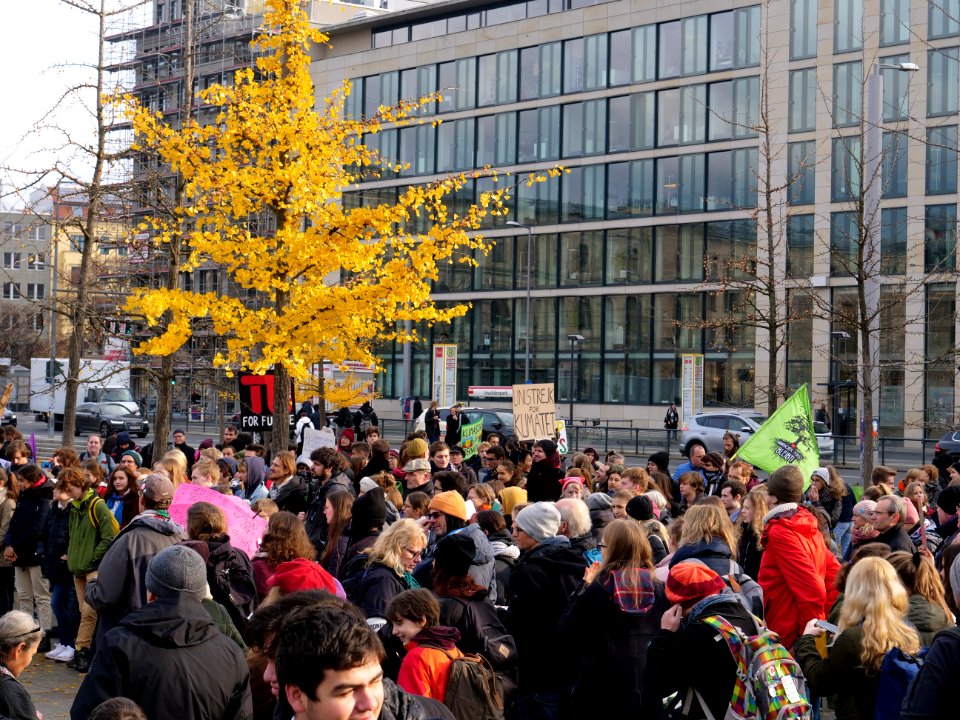 FridaysForFuture protest Berlin 22-11-2019 24