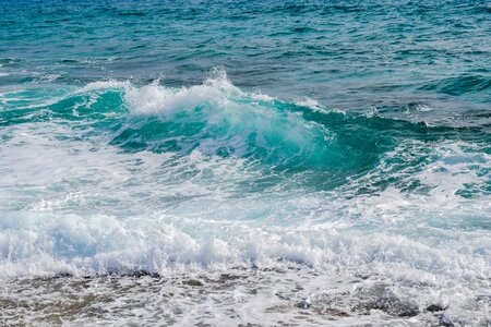 Coast nature beach