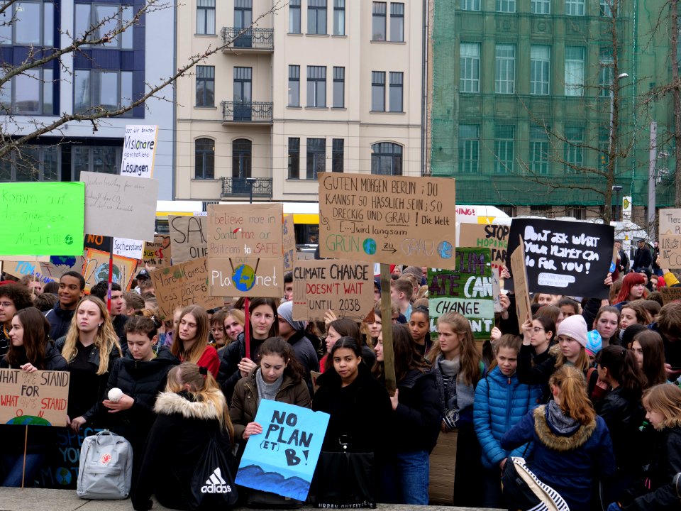 FridaysForFuture protest Berlin 22-03-2019 37
