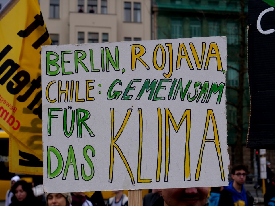 FridaysForFuture protest Berlin 22-11-2019 12