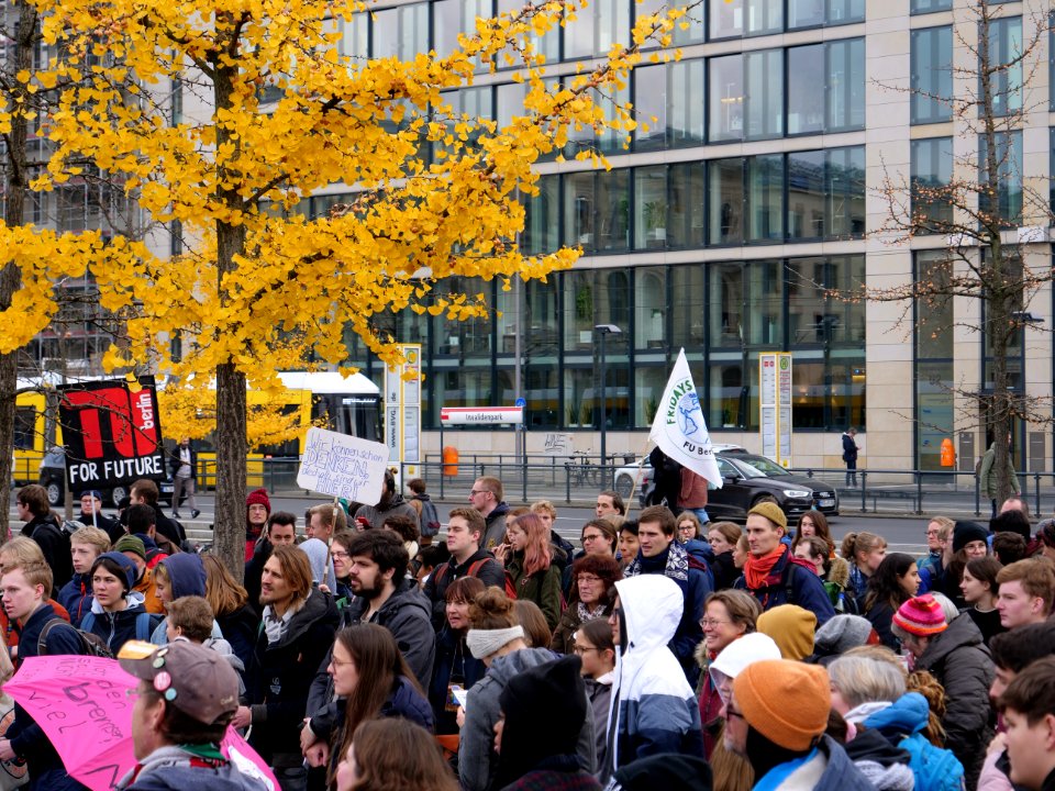 FridaysForFuture protest Berlin 22-11-2019 31