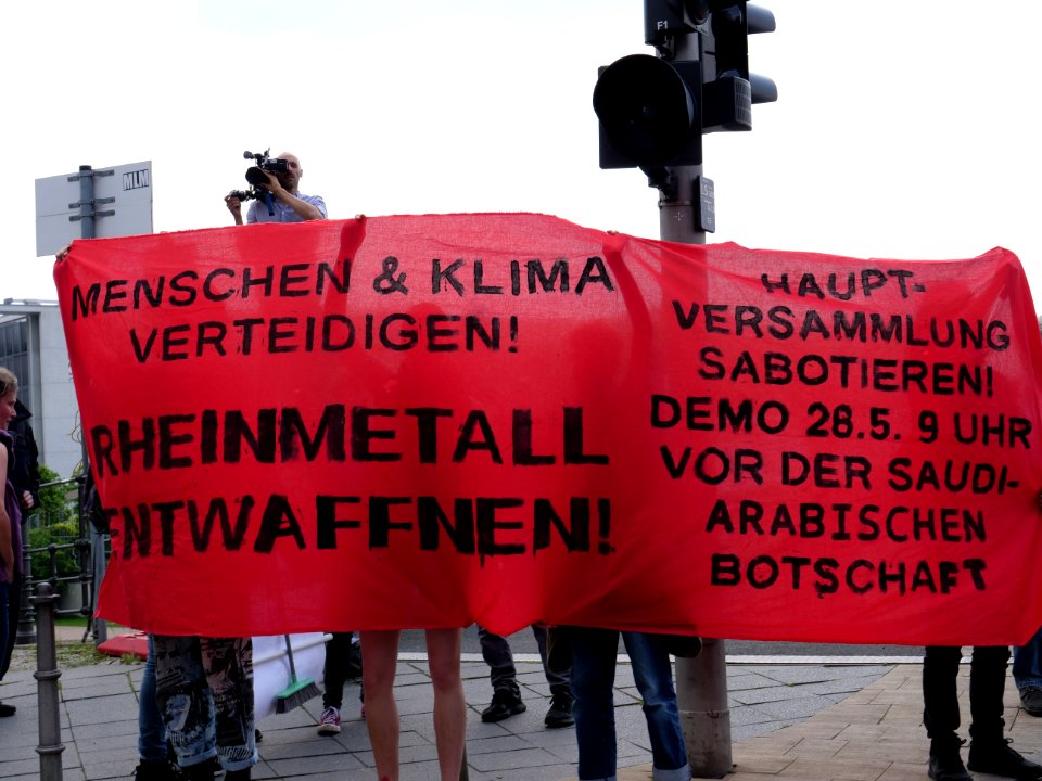 FridaysForFuture protest Berlin 24-05-2019 19