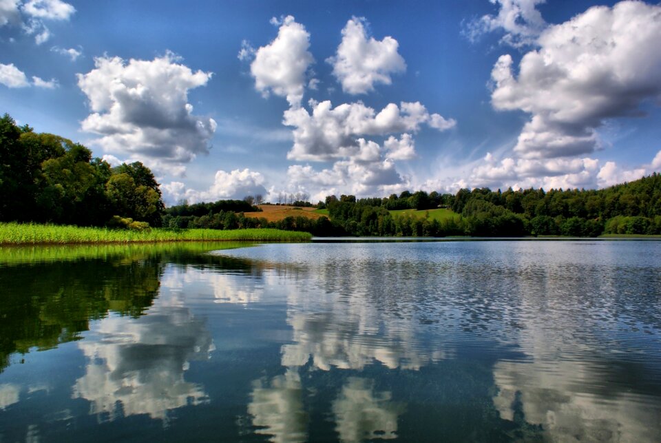 Green landscape water