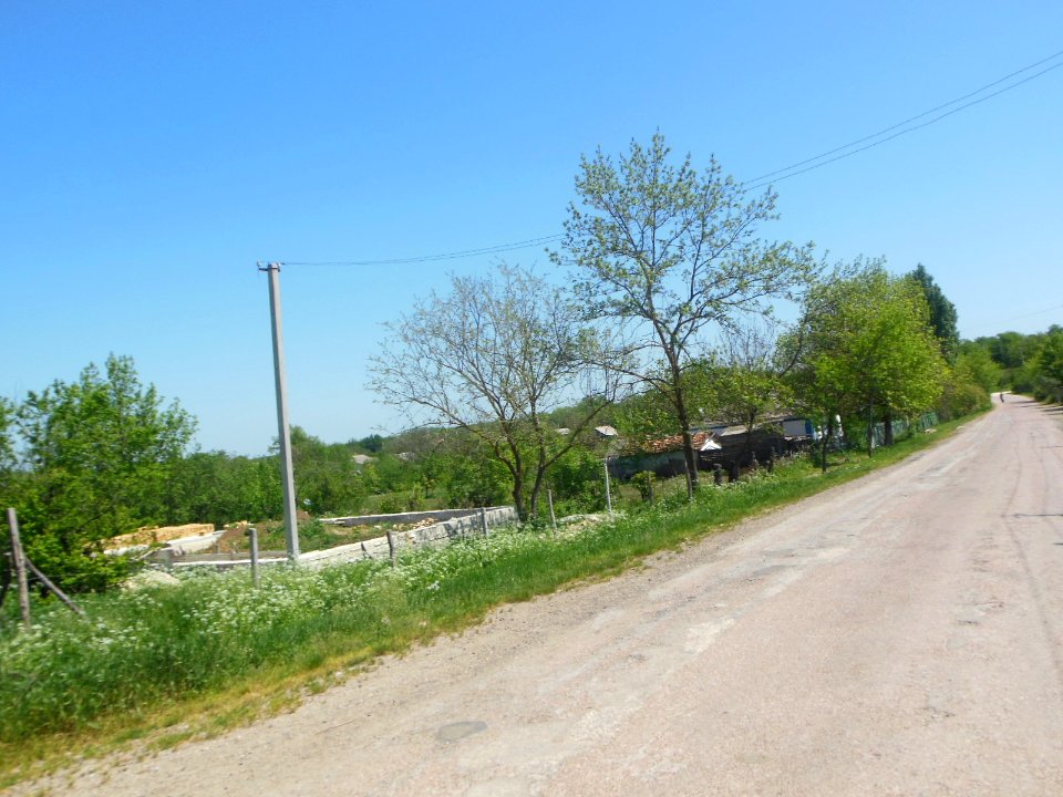 Fridental Crimea 6