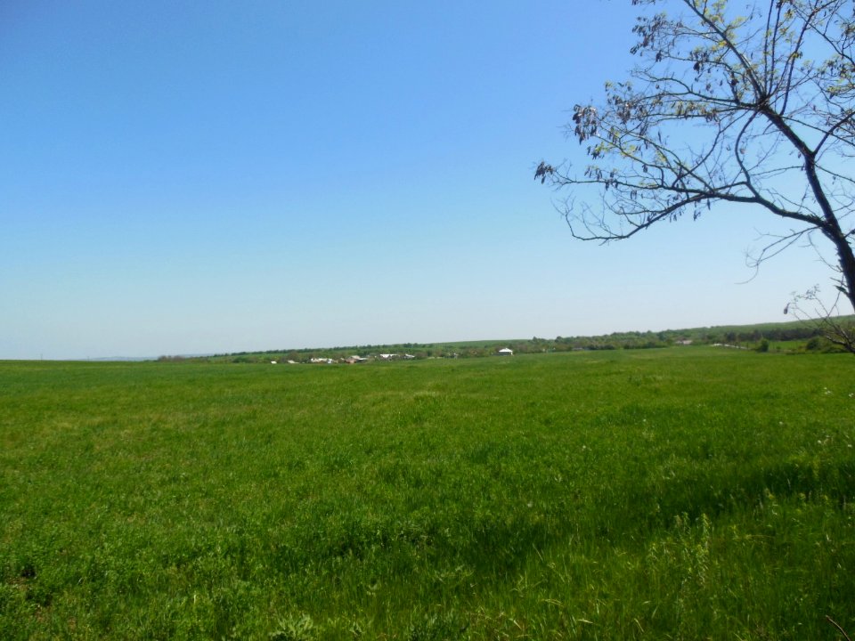 Fridental Crimea 2