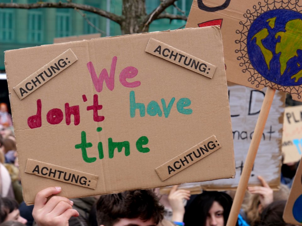 FridaysForFuture protest Berlin 22-03-2019 17