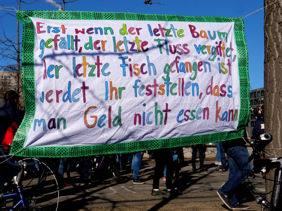 FridaysForFuture protest Berlin 22-02-2019 19