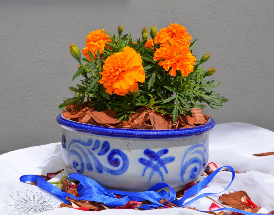 Blue pottery pattern