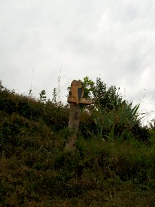 Frontignan-de-Comminges 21