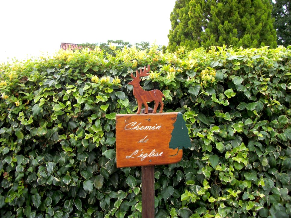Frontignan-de-Comminges 26