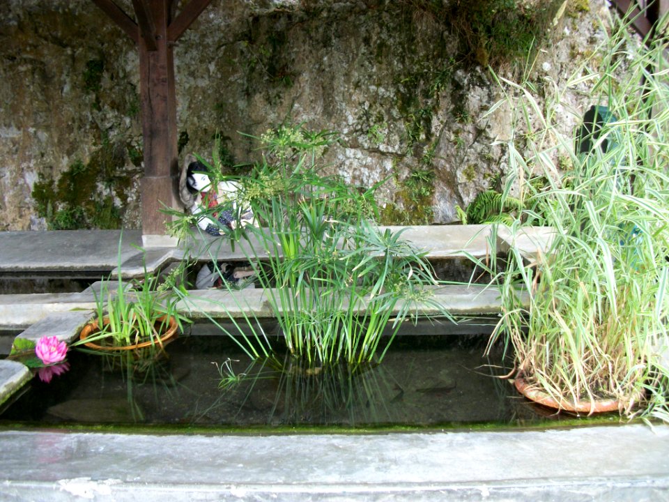 Frontignan-de-Comminges 23