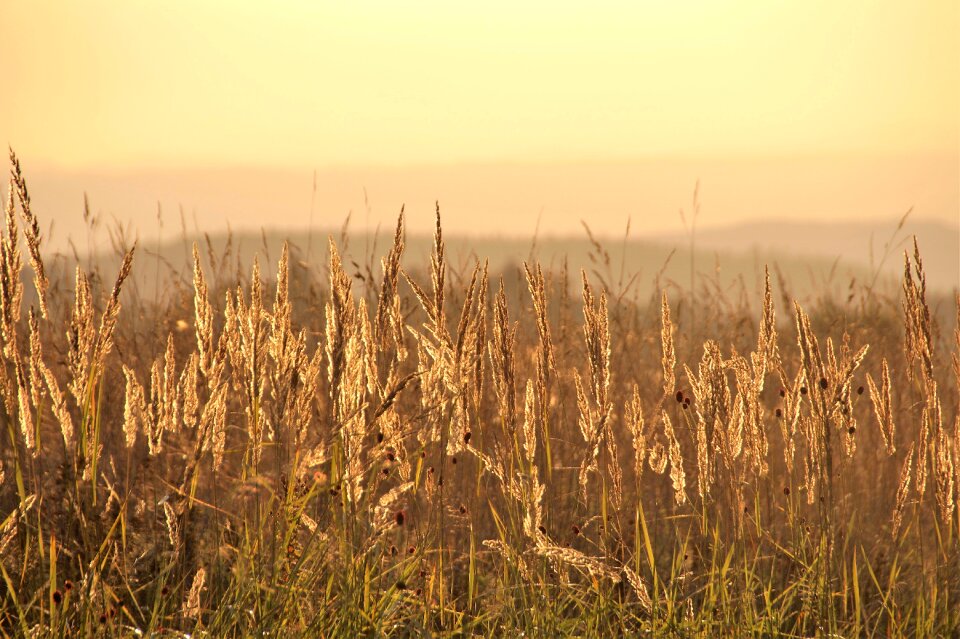 Landscape evening sunset