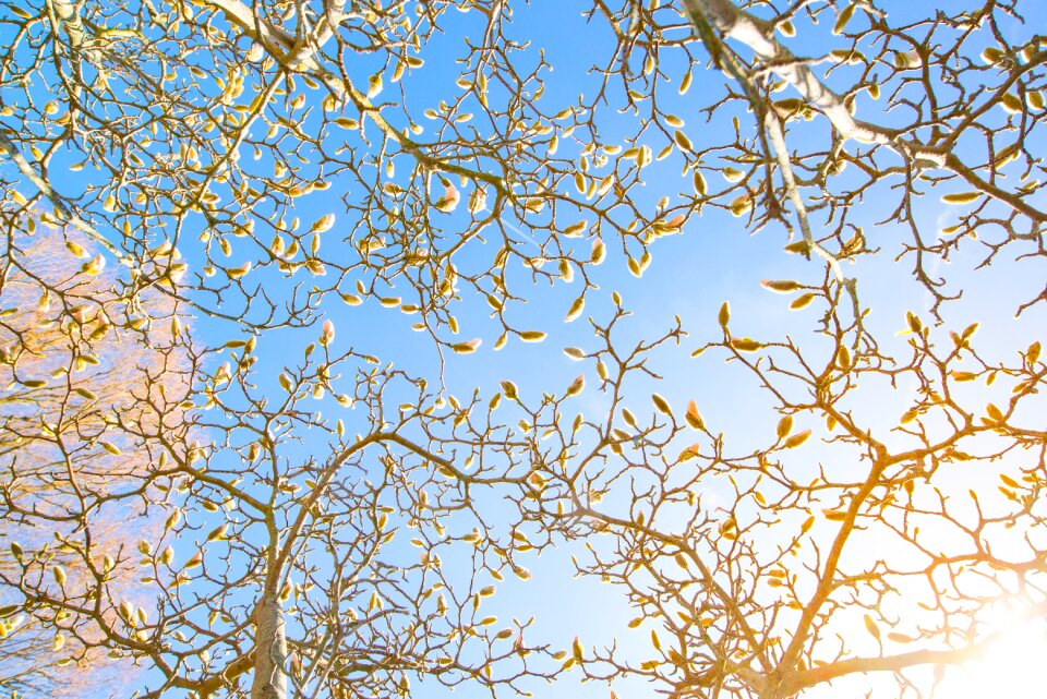 Spring holiday season