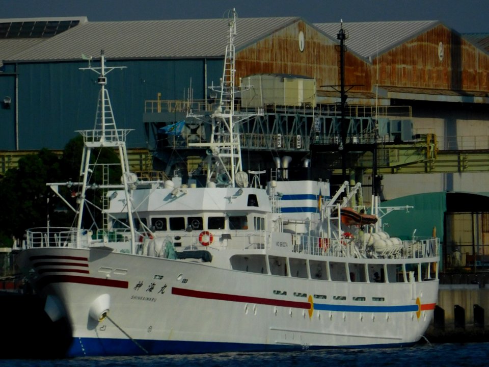 Front view of Shinkai-Maru IV the training vessel of Shimane Prefecture