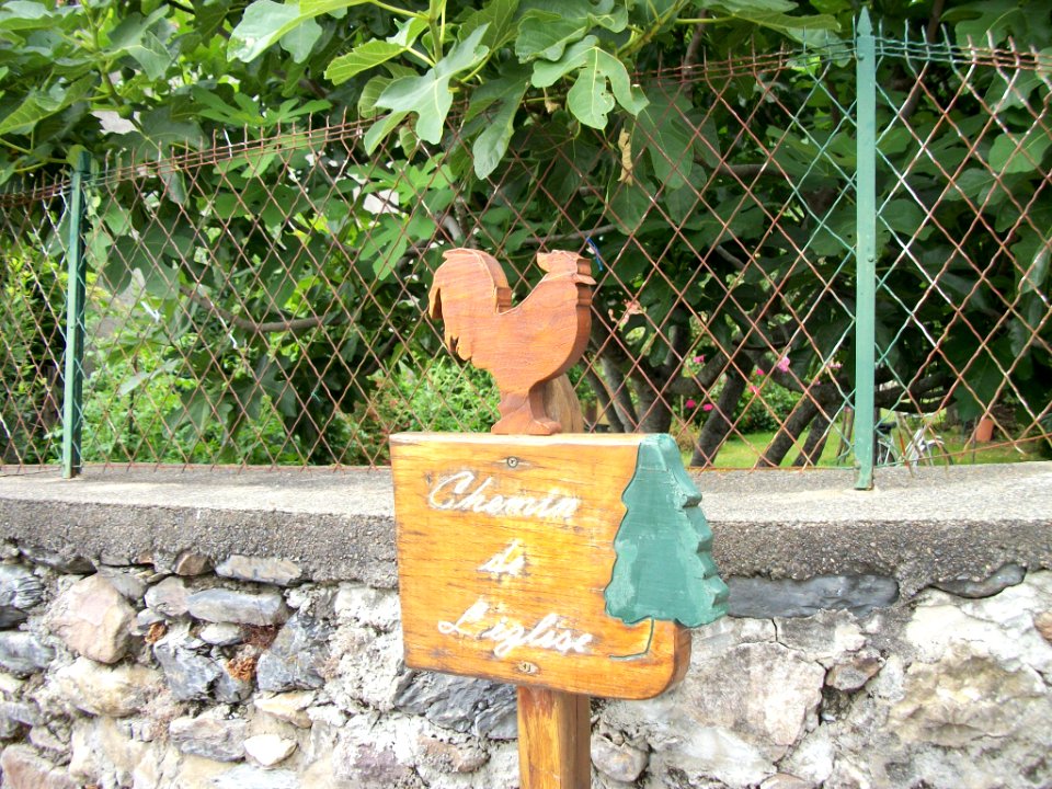 Frontignan-de-Comminges 14