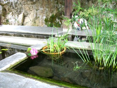 Frontignan-de-Comminges 22