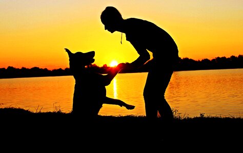 Silhouette sunrise pacsi