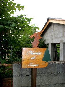 Frontignan-de-Comminges 12