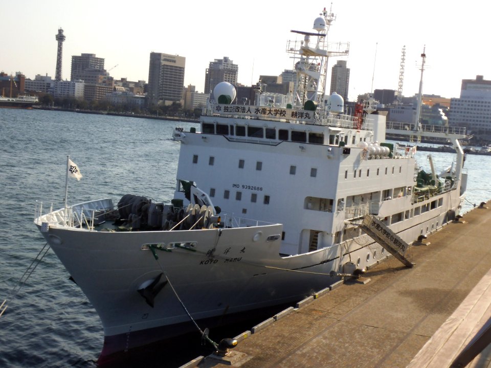 Front view of Koyo maru the training ship of National Fisheries University in port of yokohama 20130211
