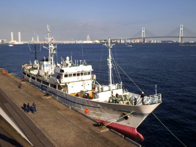 Front view of Fukushima maru5 a fishery training vessel of Fukushima Prefectual Board of Education