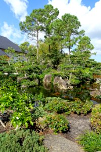 Front garden - Morikami Museum and Japanese Gardens - Palm Beach County, Florida - DSC03284