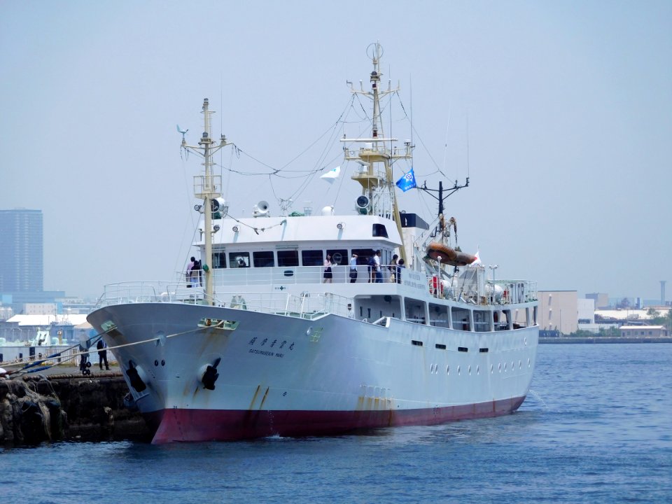 Front view of Satsumaseiun-maru a fishery training vessel of Kagoshima Prefectural Kagoshima fisheries high school